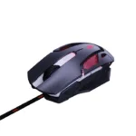 ⁦⁩ - الصورة ⁦3⁩